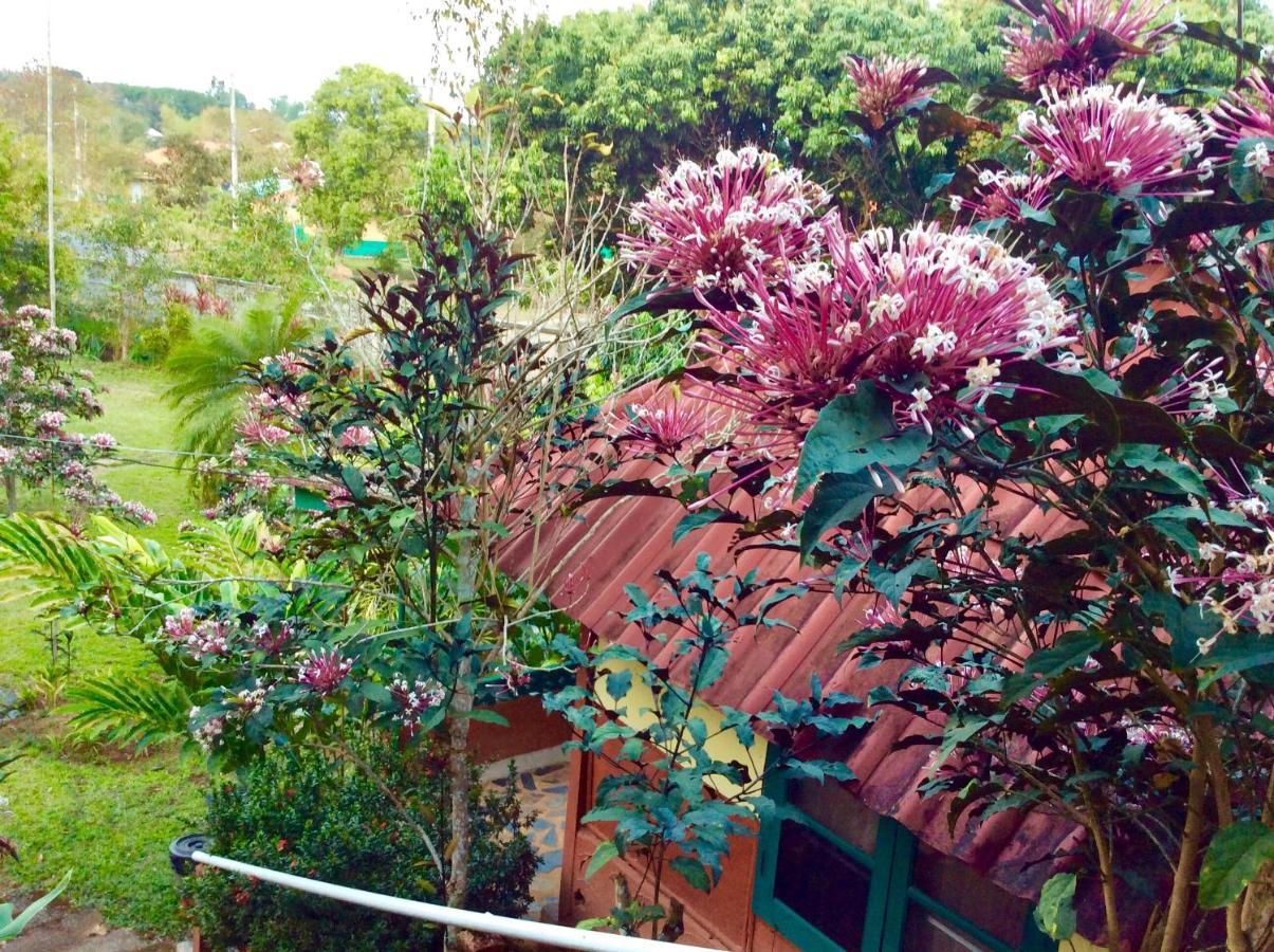 Baansuan Nanglae Hill Homestay Banbothong Kültér fotó